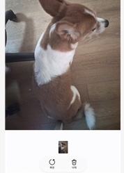 갤럭시 삭제한 사진 복구하는 방법 휴지통에서 되살리기 4 image 64