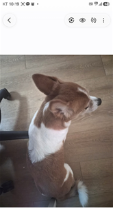 갤럭시 삭제한 사진 복구하는 방법 휴지통에서 되살리기 5 image 65